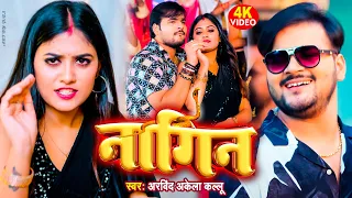 #Video | नागिन | #Arvind Akela Kallu #Shivani Singh | Nagin | New Bhojpuri Song 2023