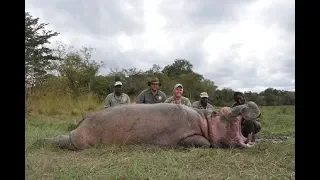 Outdoor Quest Ep#6 2018, Hippo in Tanzania