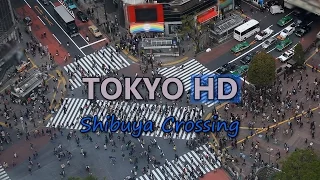 Shibuya Crossing Tokyo Rush Hour Cars Traffic in Japan with Busy Crowd of People on Shopping Street