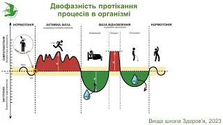 Зберегти нерви та позбутися панічних атак! Алгоритм дій, лікар Василь Чайка