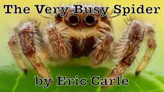 The Very Busy Spider by Eric Carle | MyEzyPzy | Children's Read Aloud Story Book