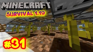 GRANJA de MELON Y CALABAZAS AUTOMATICA 1.19  - Survival 1.19 ep 31