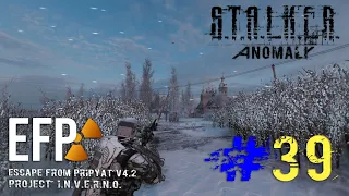 ☢️️️►S.T.A.L.K.E.R Anomaly1.5.2  E.F.P. 4.2▰ Сюжет "Смертний Гріх" Початок ▰Українською #39