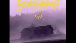 Borknagar borknagar full album