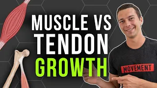 How to Build Tendon Strength vs. Muscle Strength