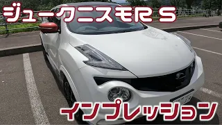 ジュークニスモＲＳを今更インプレッションするよ！