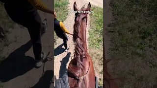 UKRAINIAN GIRLS ARE DOING HORSE RIDING (horses are good for mental health)