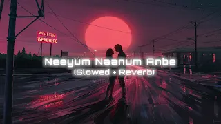 Neeyum Naanum Anbe - Slowed + Reverb