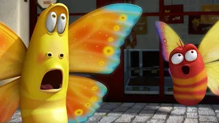 LARVA - THE BUTTERFLY | 2017 Cartoon | Videos For Kids | Kids TV Shows Full Episodes