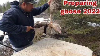 How to clean a goose 2022