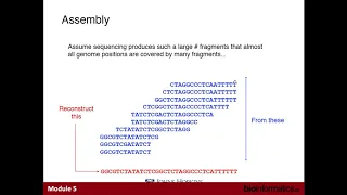 Genome Assembly by Jared Simpson