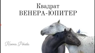 Квадрат ВЕНЕРА-ЮПИТЕР. Hanna Pihida