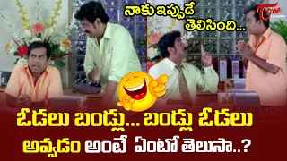 Brahmanandam And Raghu Babu Best Comedy Scenes | Telugu Comedy Videos | NavvulaTV