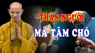 Thân Người Mà Tâm Chó - Chuyện Tâm Linh HT Thích Giác Hạnh Mới Nhất