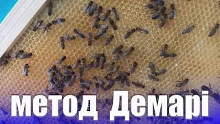 Протиройовий прийом метод Демарі. Як утримати бджіл від роїння та отримати мед