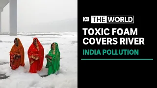 Indian residents angered as Yamuna River engulfed in toxic foam | The World