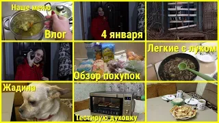 Влог, 4 января, Обзор покупок, Лёгкие с луком Андрей приходи, Соня жадина, Тестирую новую духовку