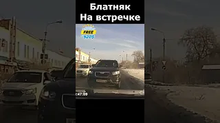 Их так и манит на встречку  автохам