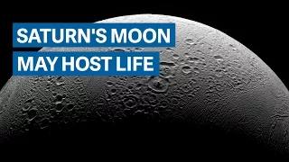 Saturn's moon Enceladus has the ingredients to host life