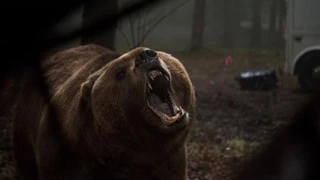 Grizzly Trailer 2014 HD Billy Bob Thornton James Marsden Piper Perabo