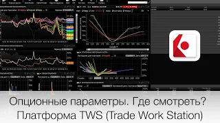 Опционные параметры. Куда смотреть? Платформа Trade Work Station (TWS) от IB | TIL Group