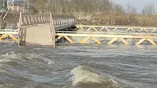 Осётр повышает уровень. Зарайск 02.04.2024