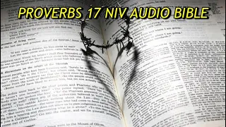 PROVERBS 17 NIV AUDIO BIBLE(with text)