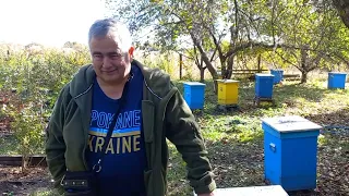 American Beekeeper at Apiary of Ukrainian Beekeeper Vasyl Priyatelenko: Unique Farm & Beehives!