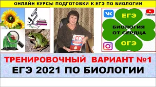 ТРЕНИРОВОЧНЫЙ ВАРИАНТ КИМ №1 (2021)ПОДРОБНЫЙ РАЗБОР