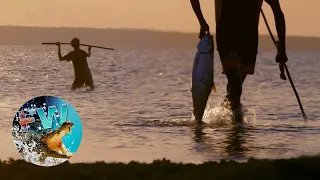 Is this the second best spear fisherman in the world? Fishing the Wild FLASHBACK