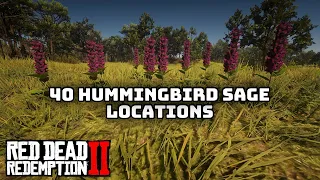 40 Hummingbird Sage Locations in Red Dead Redemption 2