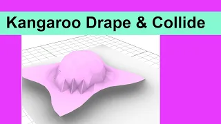 Kangaroo Drape and Collide