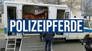 16.04.2021 #Berlin Einzige Reiterstaffel der #Bundespolizei im Einsatz bei Demo im Regierungsviertel