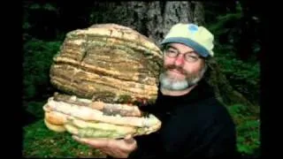 Paul Stamets - 6 ways mushroom can save world.flv