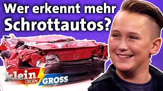 Bergdoktor Hans Sigl vs. Neal: Wer erkennt mehr Autos nur an den Schrottwürfeln? | Klein gegen Groß