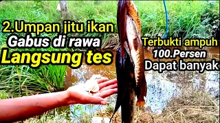 SANGAT AMPUH RACIKAN UMPAN IKAN GABUS LIAR PALING JITU SE INDONESIA RAYA