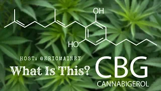 Cannnabis Talk Ep. 11  | CBG (Cannabigerol): What is it and Why does it matter? |