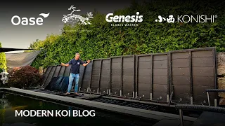 Modern Koi Blog #6052 - Der veränderte Oli an seinen Genesis Bürstenfilter