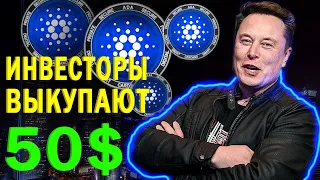 ИНВЕСТОРЫ ВЫКУПАЮТ CARDANO, ADA БУДЕТ СТОИТЬ 50$! ИНВЕСТИЦИИ В КРИПТОВАЛЮТУ