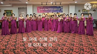 그리운 금강산#  무인도# 서울대 U3A 합창단 송년회 3. 4부  #  박용규 이영실 외  26 명  지휘자임동혁 반주자김미나 #행복한 부부 색소폰@ 시낭송