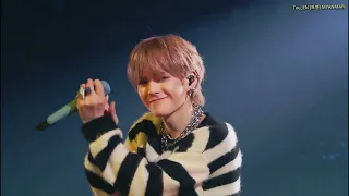 TREASURE CLAP! Live Version | HELLO IN SEOUL