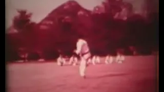 Original ITF Taekwon-Do Inception, 1966 and (Steve Cheah ?) 1972