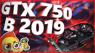 Выживаем на GTX 750 в 2019