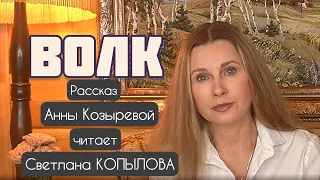 «ВОЛК» Автор - Анна Козырева, читает - Светлана Копылова