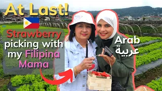 FIRST time PICKING STRAWBERRY with my FILIPINA MAMA | PHILIPPINES