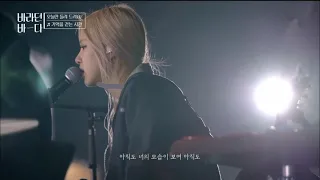 로제-[기억을 걷는 시간] 1시간 ROSÉ-[Time Spent Walking Through Memories] 1Hour