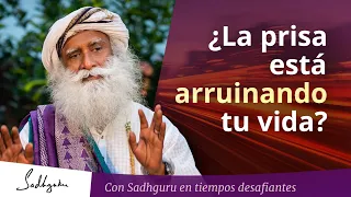 ¿La prisa y la competencia están arruinando tu vida? | Sadhguru