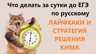 Что делать за сутки до ЕГЭ по русскому. Лайфхаки и стратегия решения КИМ