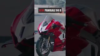 2023 Ducati Panigale V4 R - FIRST LOOK