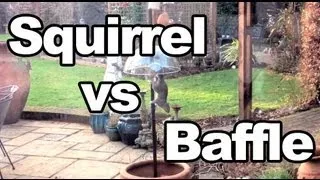 Squirrel vs Anti-Squirrel Baffle